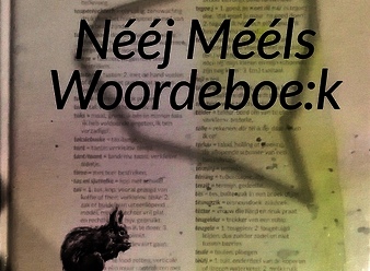 Het 'Nééj Mééls Woordeboe:k'.