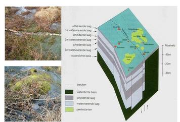 05. Ontstaan van turf