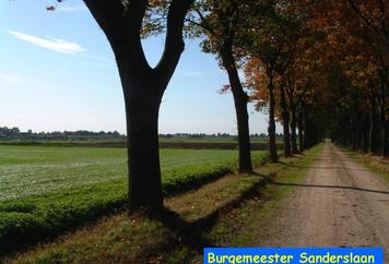 72. De burgemeester in zijn gebied