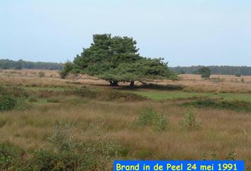 73. De brand van 1991