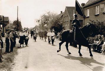 Is.55.b1jt.04 OLS Paard